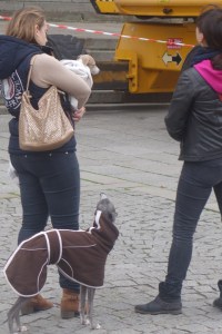 DSC06592